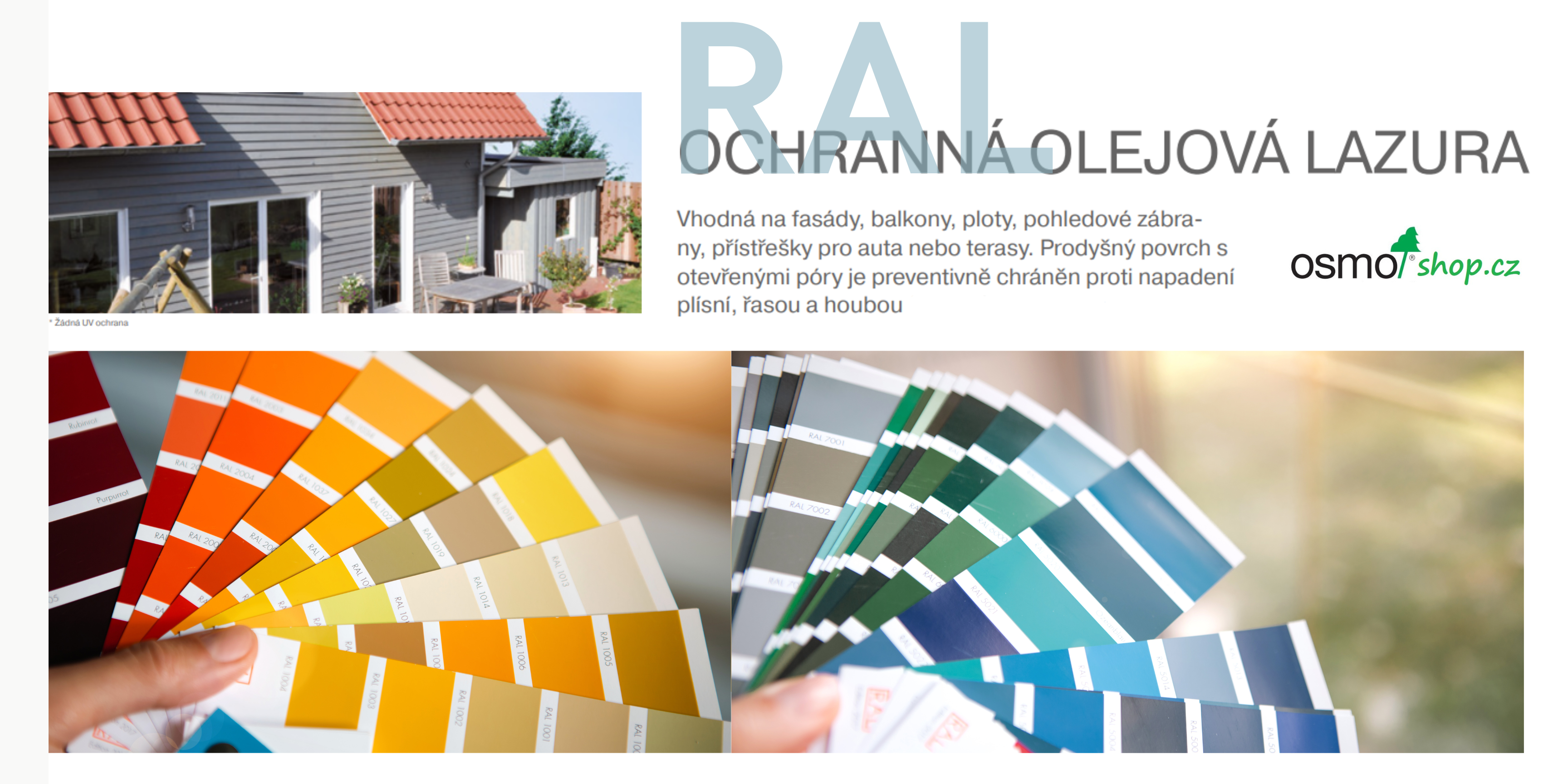 RAL (2)
